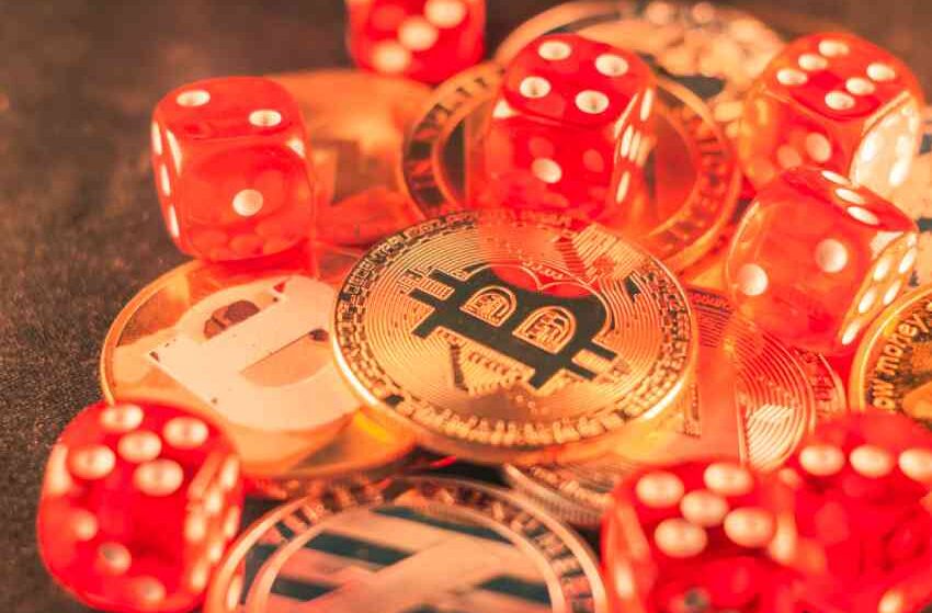 How to Choose the Best Bitcoin Casino in NZ